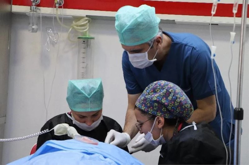 ’Saç kaybı, özgüven kaybına yol açıyor’
