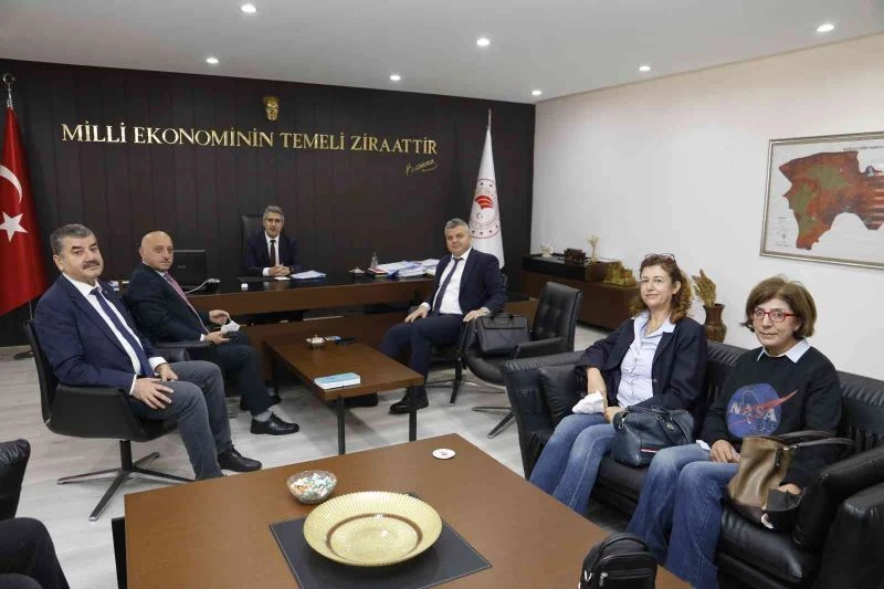 Bölge Müdürü Yavuz; Ağrı’da çalışmaları devam eden projelerde incelemede bulundu
