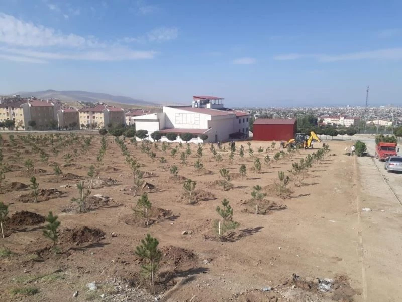 İpekyolunda park ve bahçeler kışa hazırlanıyor
