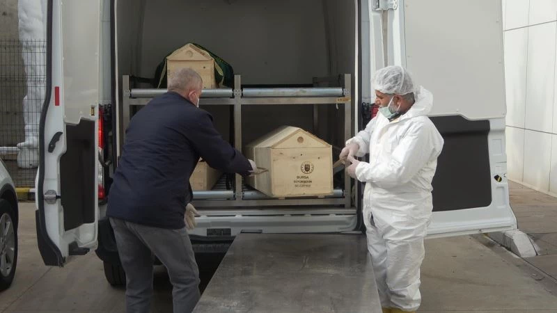 Cinayete kurban giden İlknur Gökay Tuncel’in otopsi işlemleri tamamlandı
