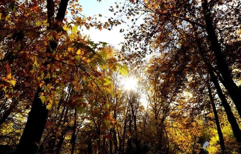 Doğu Anadolu’da sıcaklıklar 4 ila 6 derece arttı
