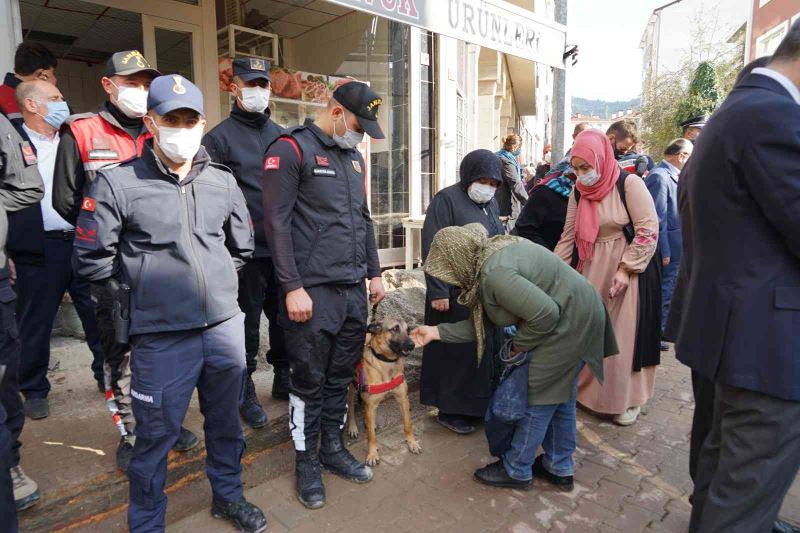 Selde köpeği Rüzgar’ı kaybeden kadın, jandarma köpeğini görünce gözyaşlarını tutamadı
