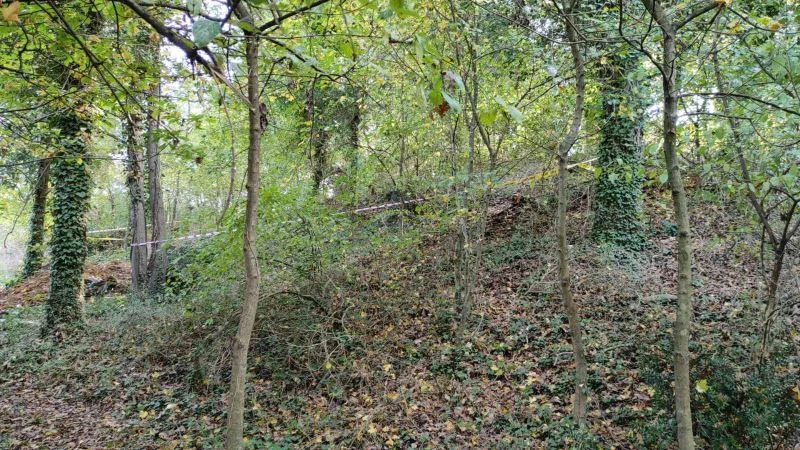 İşlediği cinayeti 21 yıl sonra itiraf etti
