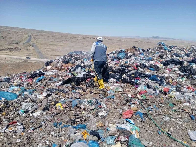 Karasinek üreme alanları ilaçlanıyor
