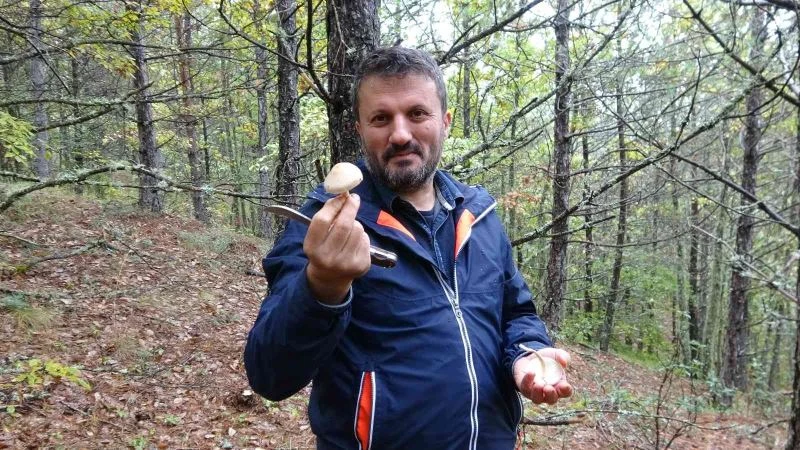 Merak edip araştırdı, 205 çeşit mantarın tadına baktı
