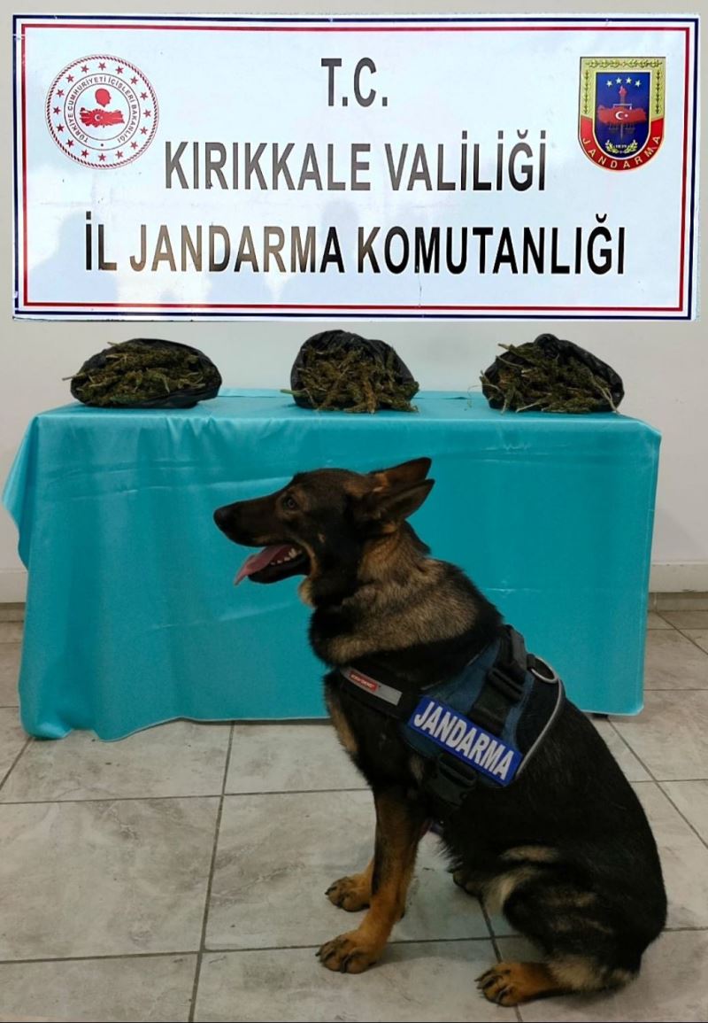 Narkotik köpeği ’Tepe’ ile otobüste arama yapan jandarma, ’kubar esrar’ buldu
