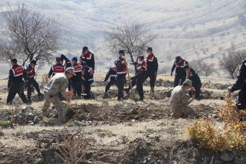 Elazığ Jandarma, Harput Mahallesine 2 bin fidan dikti
