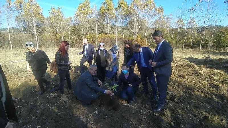 ‘Kara mürver’ toprakla buluştu
