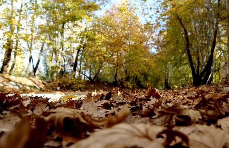 Doğu Anadolu’da mevsim normallerine göre sıcaklık artarken Çarşamba kar geliyor
