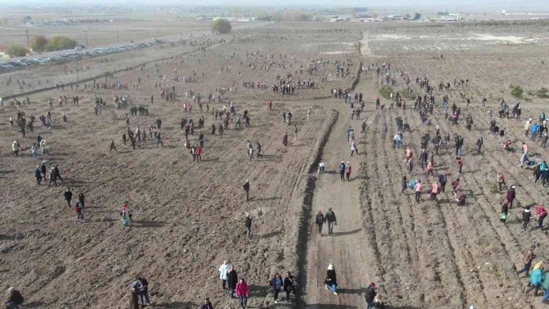 11 Kasım Ağaç Bayramı hazırlıkları tamamlanmak üzere
