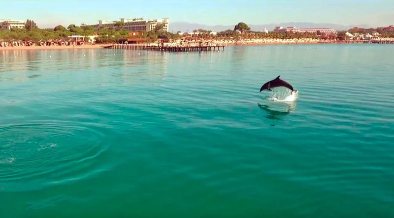 Sezonun bittiği Antalya’da sahiller yunuslara kaldı
