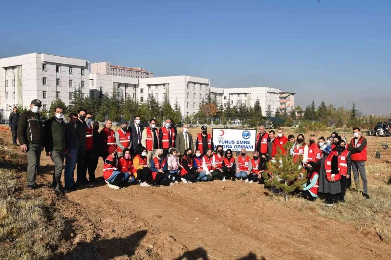 KMÜ’de Yunus Emre Hoşgörü Ormanı
