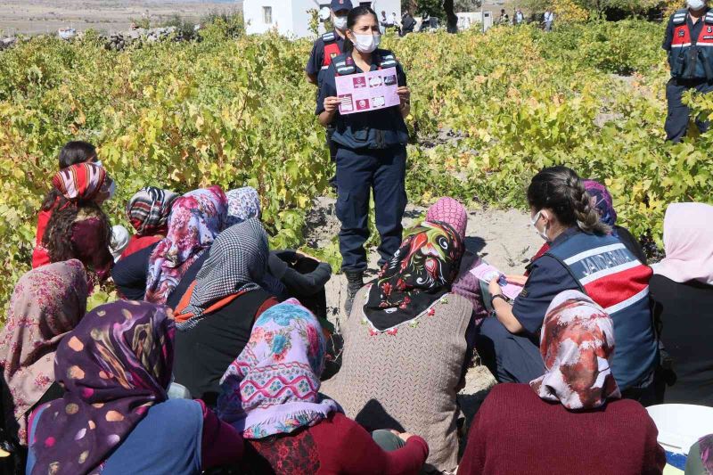 Kadın jandarmalar önce eğitim verdi sonra üzüm hasadı yaptı
