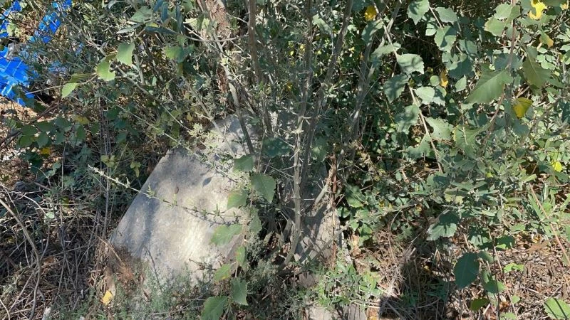 Karton toplayıcısı tarlada Osmanlı eserleri buldu
