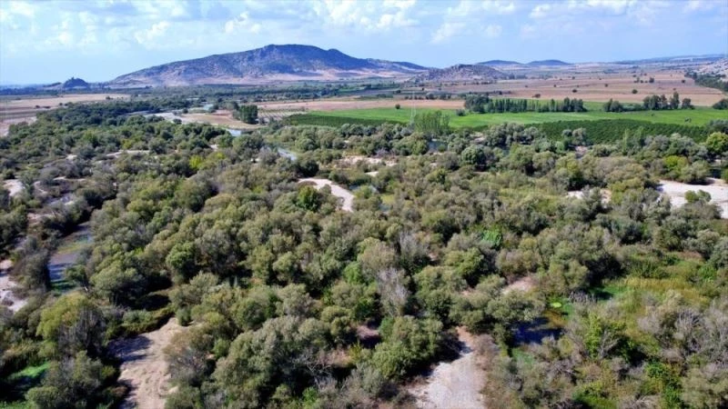 Kastabala Kuş Cenneti doğa turizmine kazandırılacak