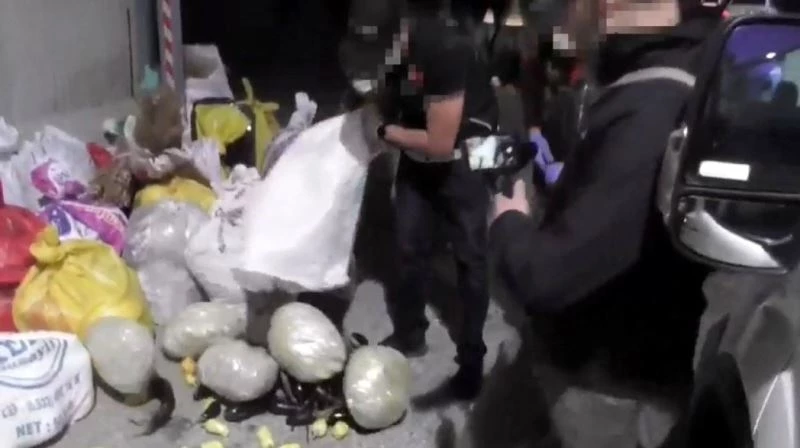 Patlıcanla kamufle edilen uyuşturucuyu ’Pars’ buldu
