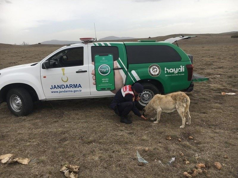 Jandarma ekipleri kırsaldaki hayvanları unutmadı
