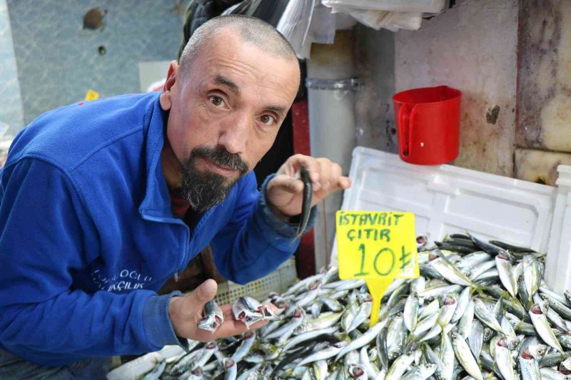 Samsun’da mevsim balıklarının fiyatı 10 TL ile 30 TL arasında değişiyor
