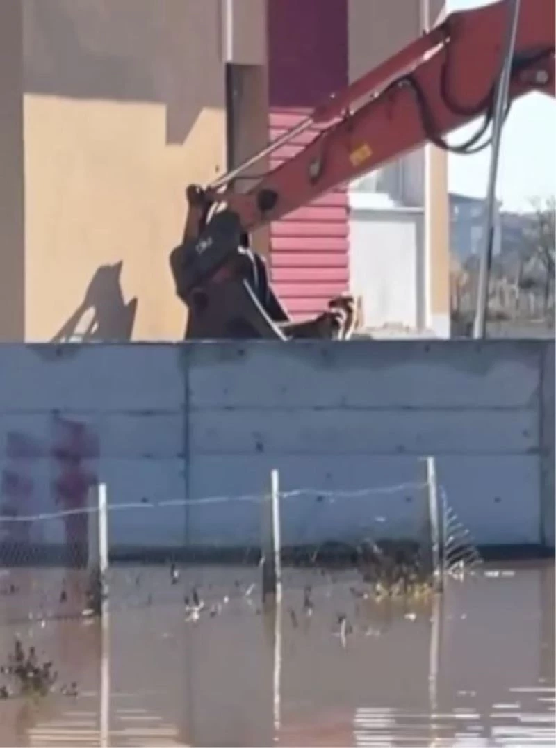 Selden sığındıkları binada 3 gündür mahsur kalan köpekler iş makinesiyle kurtarıldı
