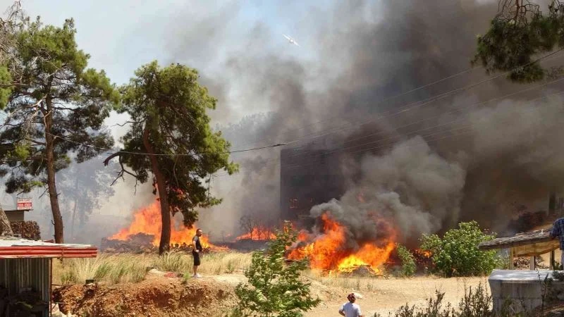 Manavgat merkezdeki orman yangınının ilk duruşmasından tutuksuz yargılama çıktı
