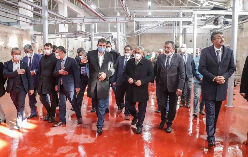 Modernizasyon çalışmaları tamamlanan mezbahane hizmete sunuldu
