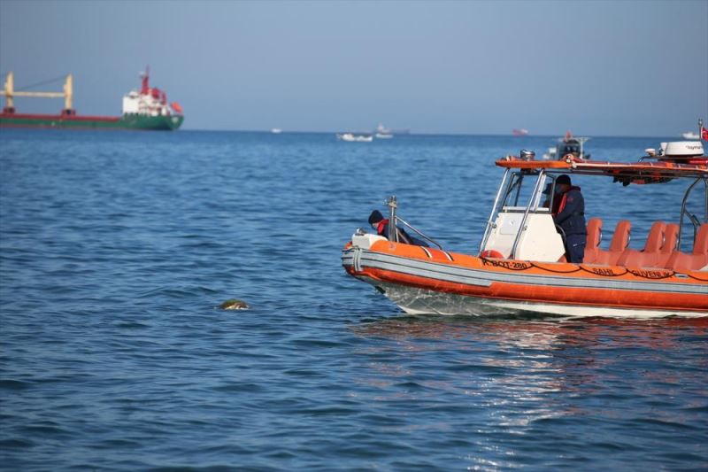 İskenderun Körfezi