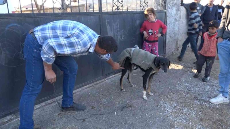 Köpek yumurtaları yedi, tüfek, taş ve sopalar konuştu: 3 yaralı
