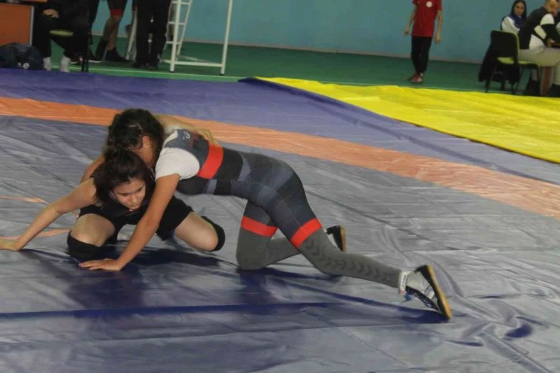 Manyas’ta güreşi yaygınlaştırma şenliği
