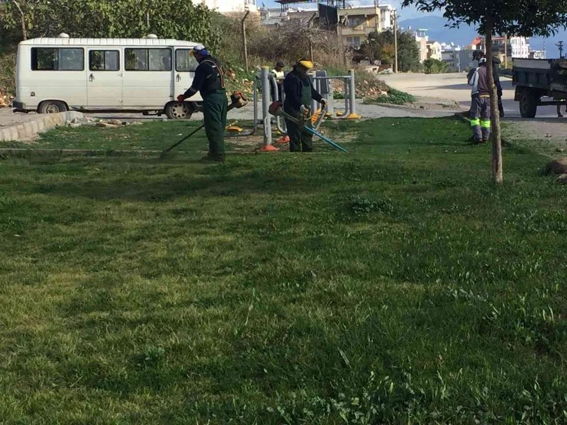 Didim’de yeşil alanların bakımı sürüyor
