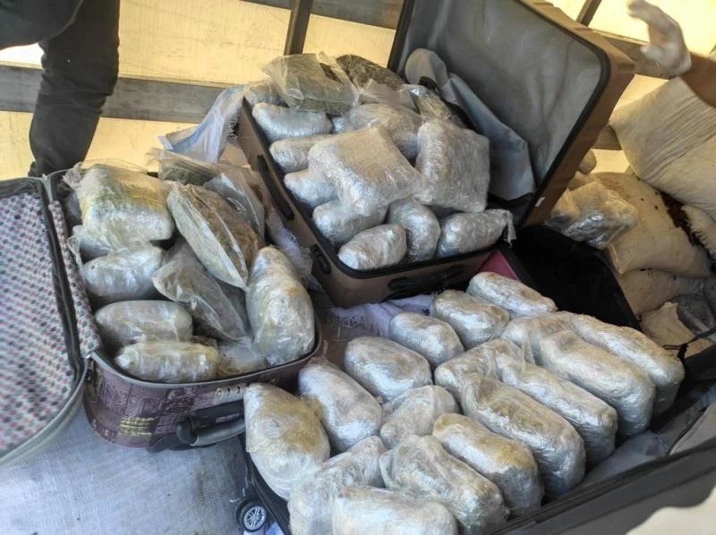 65 kilo esrar çıkan tırdaki iki şüpheli serbest bırakıldı
