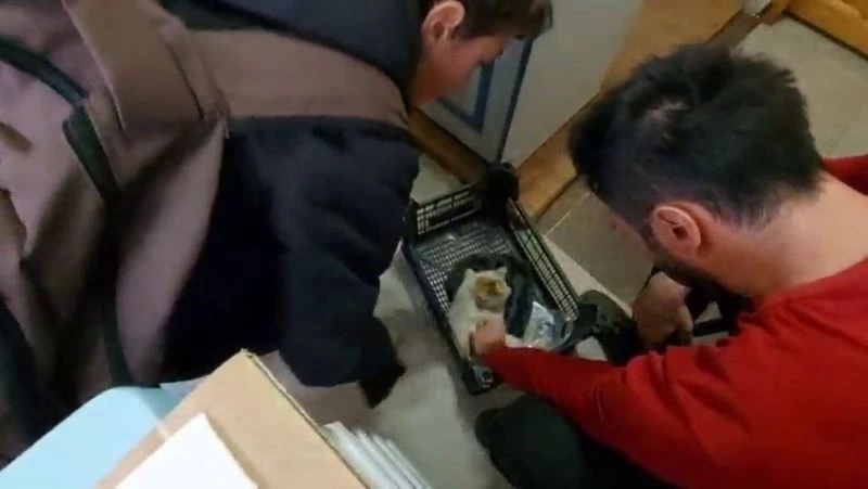 Küçük yüreklerden büyük hareketler
