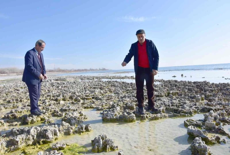 Van Gölü’nün çekilmesiyle yeni mikrobiyalitler gün yüzüne çıktı
