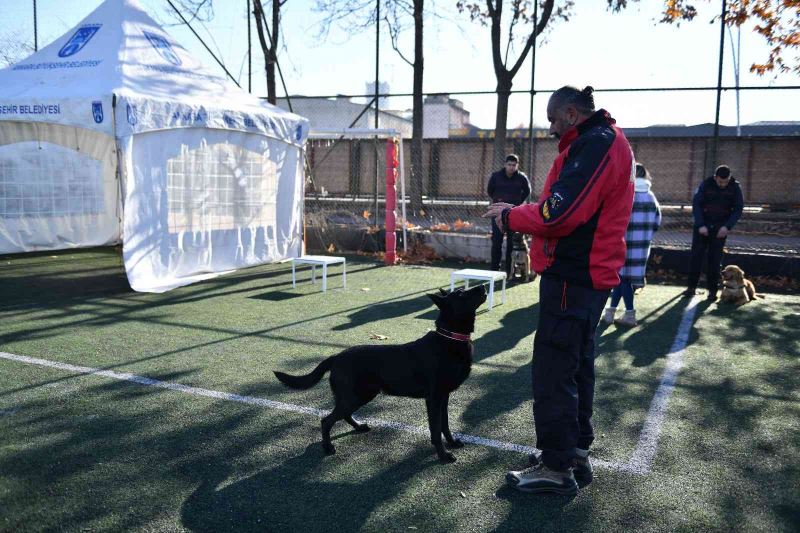 Ankara İtfaiyesi arama kurtarma köpeklerinin başarısı kanıtlandı
