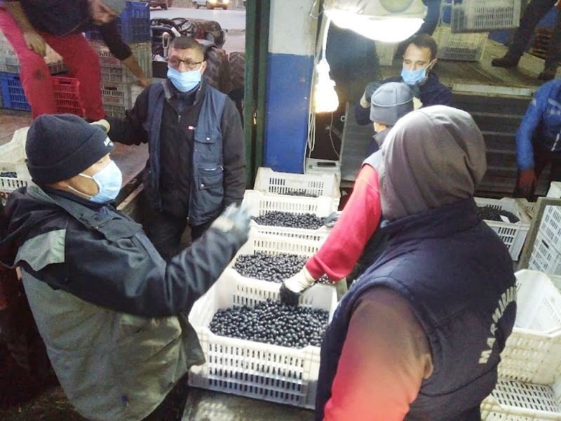 Erdek’te zeytin hasadında sona gelindi
