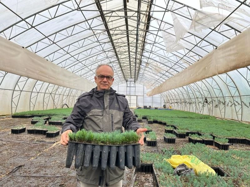  Türkiye’nin en büyük orman fidanlığından yavru vatana 50 bin fidan
