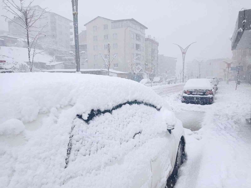 Hakkari’de 179 yerleşim yerinin yolu ulaşıma kapandı
