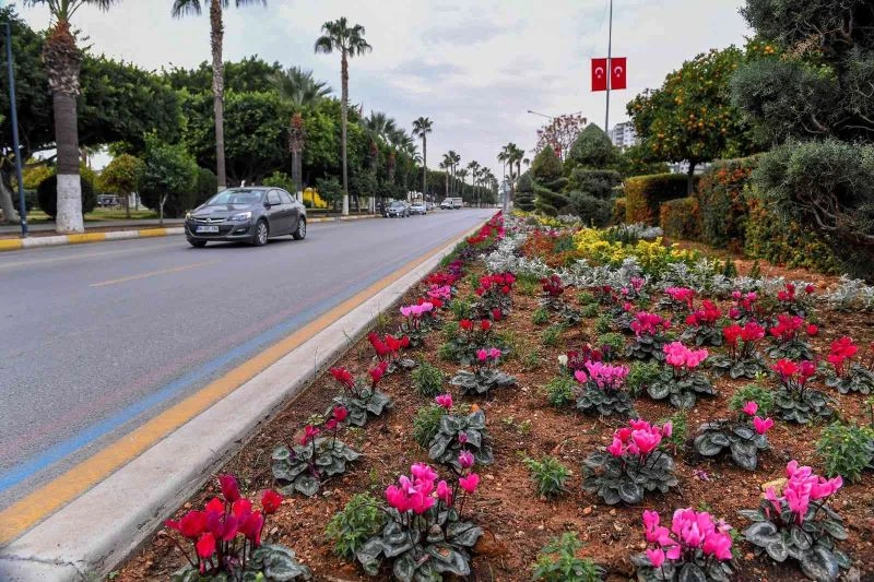 Mersin’in 4 bini yanı çiçeklerle renkleniyor
