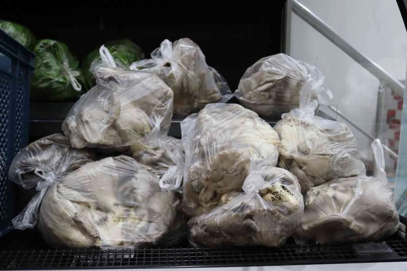 İzmit Belediyesi hasadı yapılan mantarları ihtiyaç sahibi ailelere ulaştırıyor
