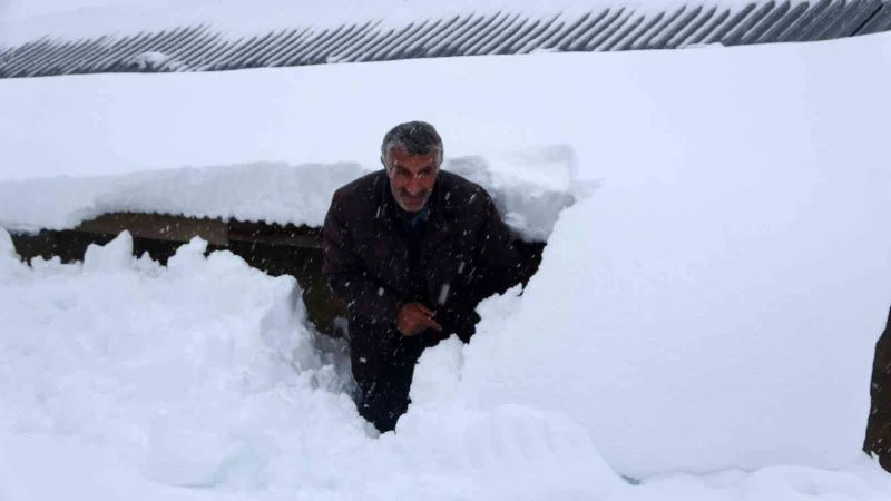 Muş’ta 1600 rakımlı köy kara gömüldü
