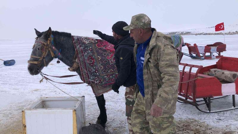 Çıldır’da atları üzerine battaniye örterek koruyorlar
