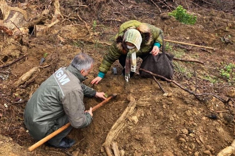 Bandırma’ya 5 bin fidanlık hatıra ormanı
