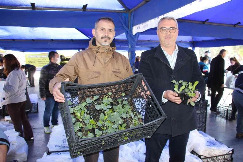 Aydın Büyükşehir Belediyesi 100 bin adet kışlık yerel fideyi vatandaşlara dağıttı
