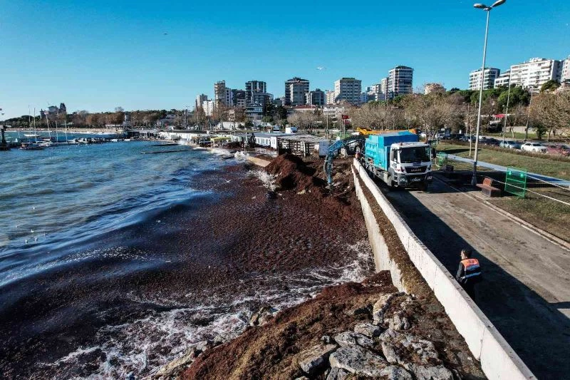 Caddebostan sahilindeki kirlilik havadan ve sualtından görüntülendi
