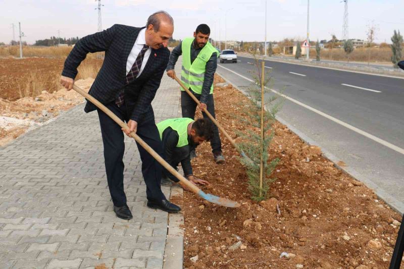 Akçakale’de yeşil atağı sürüyor
