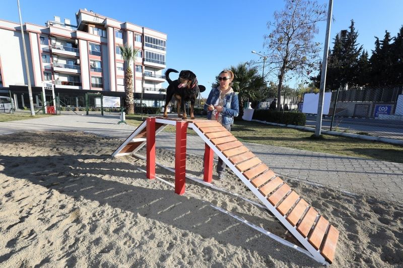 Gaziemir’de köpeklere özel park açıldı
