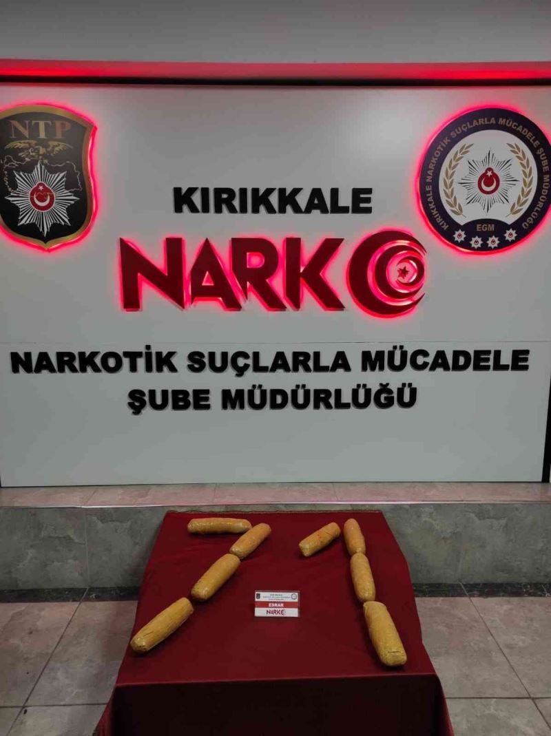 Narkotik köpeği 