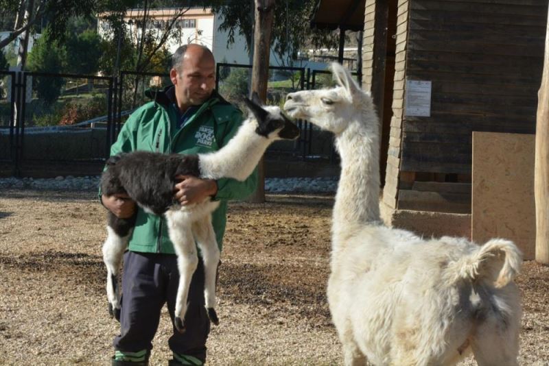 Tarsus Doğa Parkı