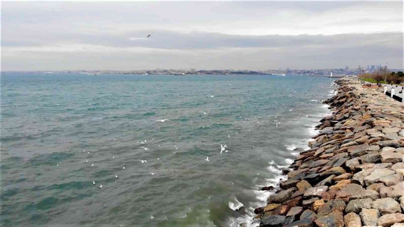 Kadıköy’de İSKİ’nin arıtma tesisinden bırakılan su denizin rengini değiştirdi
