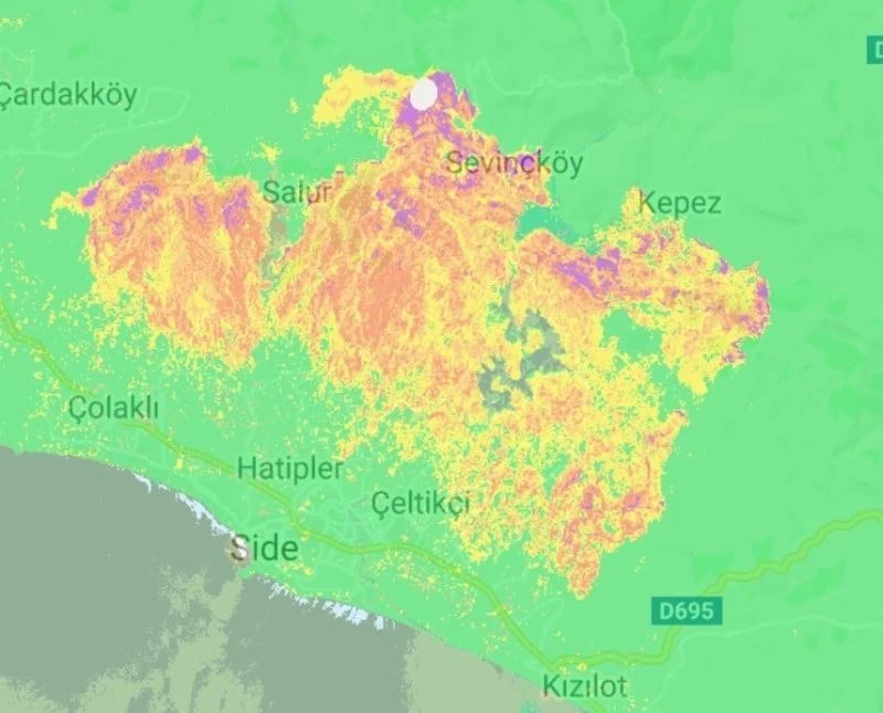 Akdeniz Üniversitesi öğretim üyesinden orman gözlemleri ve sel olayları konusunda uluslararası atılım
