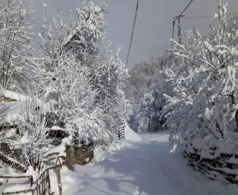 Bartın’ın Ulus ilçesinde okullar tatil edildi
